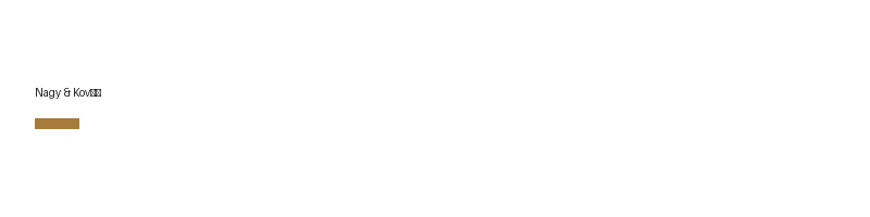 Nagy & Kováč logo